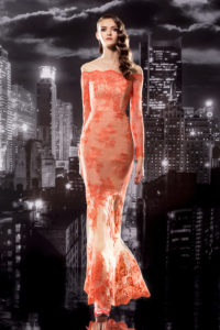 Lace Fit & Flare Dress