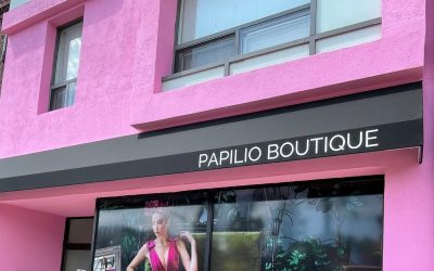 Papilio Boutique: Elevating Wedding Dress Shopping in Toronto